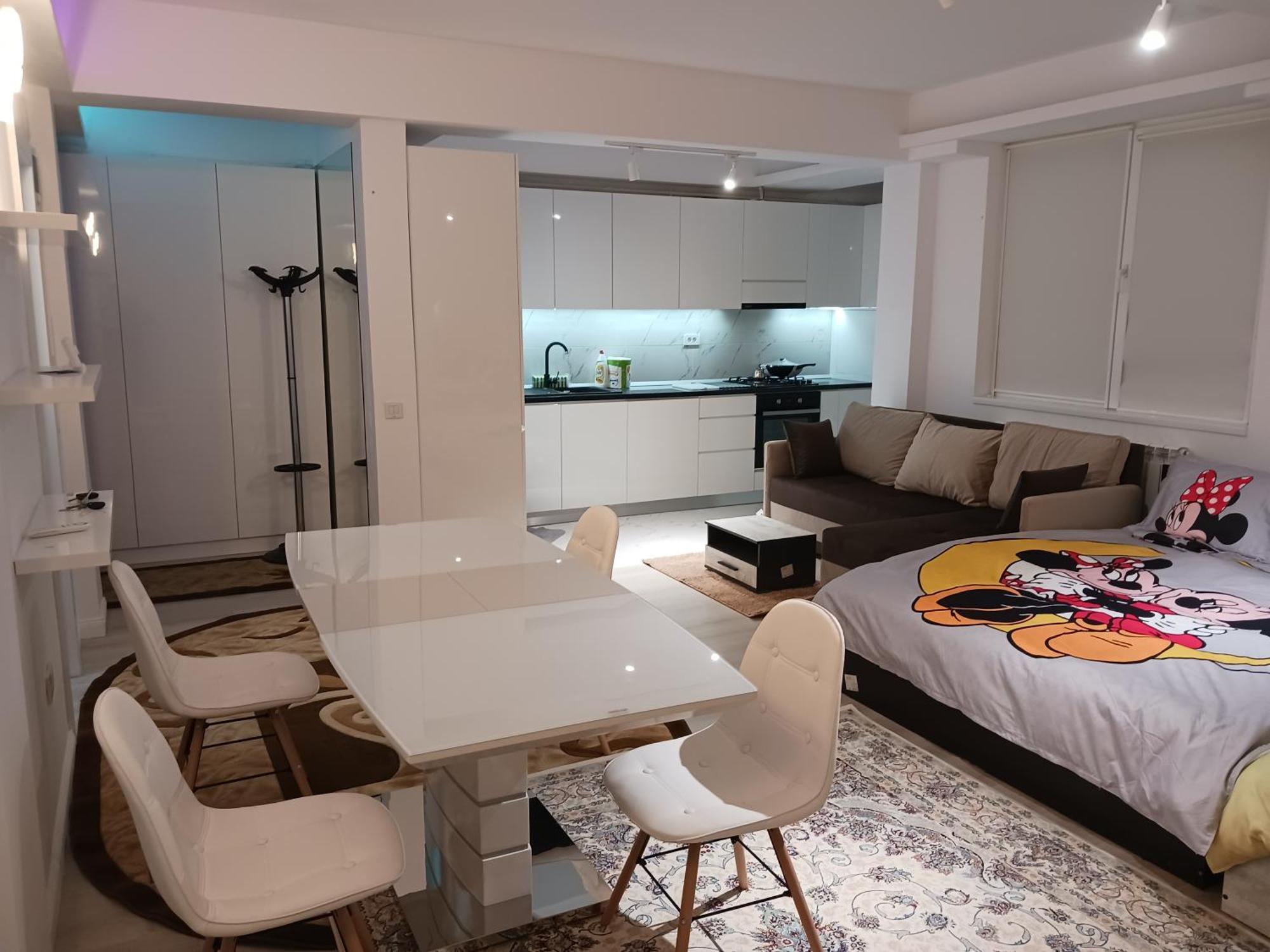 Appartement Myky Mouse Nu Primesc Santieristi Si Petrecareti à Bucarest Extérieur photo
